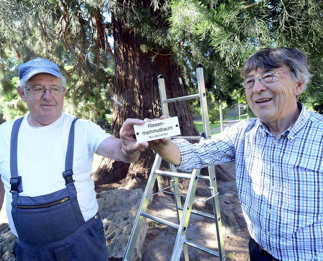 Manfred Petersen (l.) und Hans Ungerechts sind derzeit viel unterwegs, um für die Etikettierung der Bäume in Wassenberg zu sorgen. FOTO: JÖRG KNAPPE