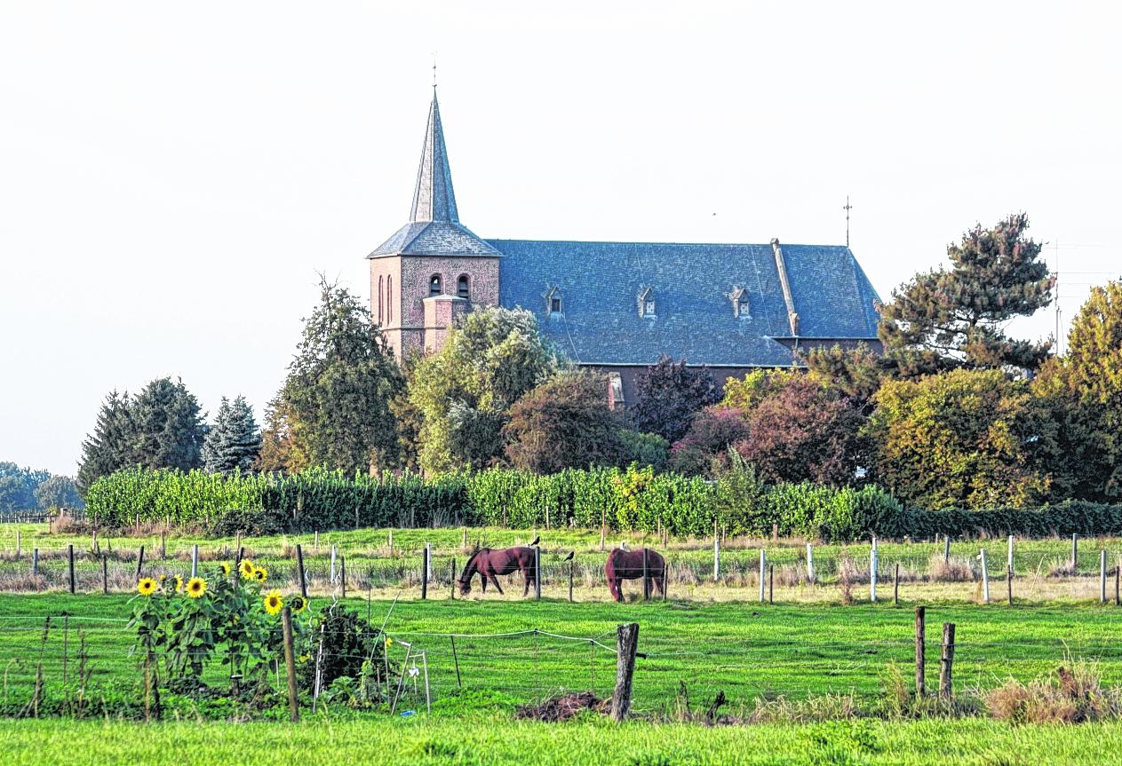 Blick auf Sankt Martinus in Steinkirchen.